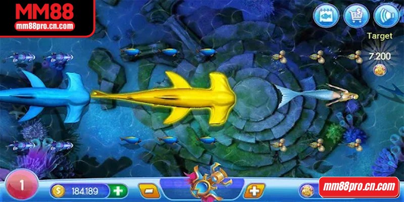 Dành đạn cho cá boss, cá rồng