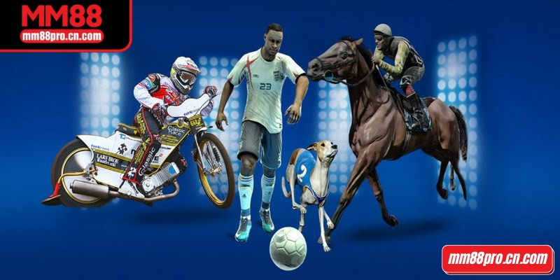 Game ảo cung cấp các trận đấu mô phỏng thú vị